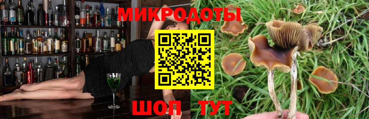 Чистополь  Галлюциногенные грибы мухоморы  Псилоцибиновые грибы прущие грибы  Вход с VPN 